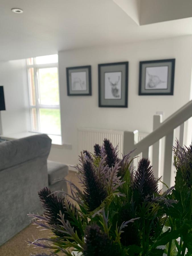 Cliffview Apartment Arbroath Bagian luar foto